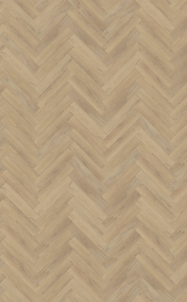 Belakos Palazzo Visgraat XL 72