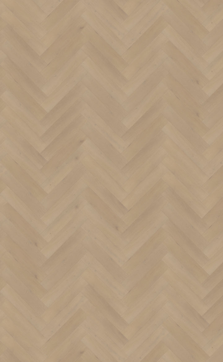 Belakos Palazzo Visgraat XL 77