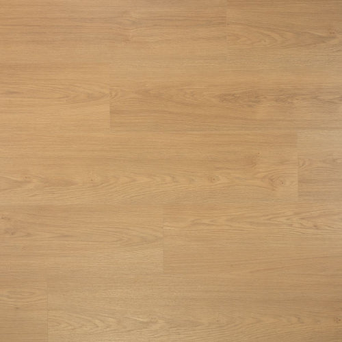 DD Extra lange plank Kaviaar 8 mm, 24,3 cm, 4MV