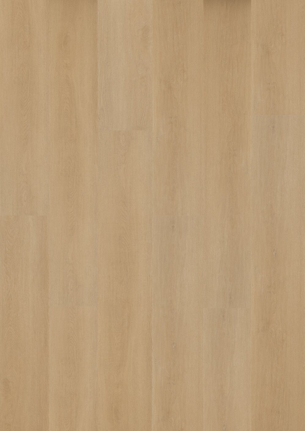 Hoomline Prestige Dryback plank Cannes 5052