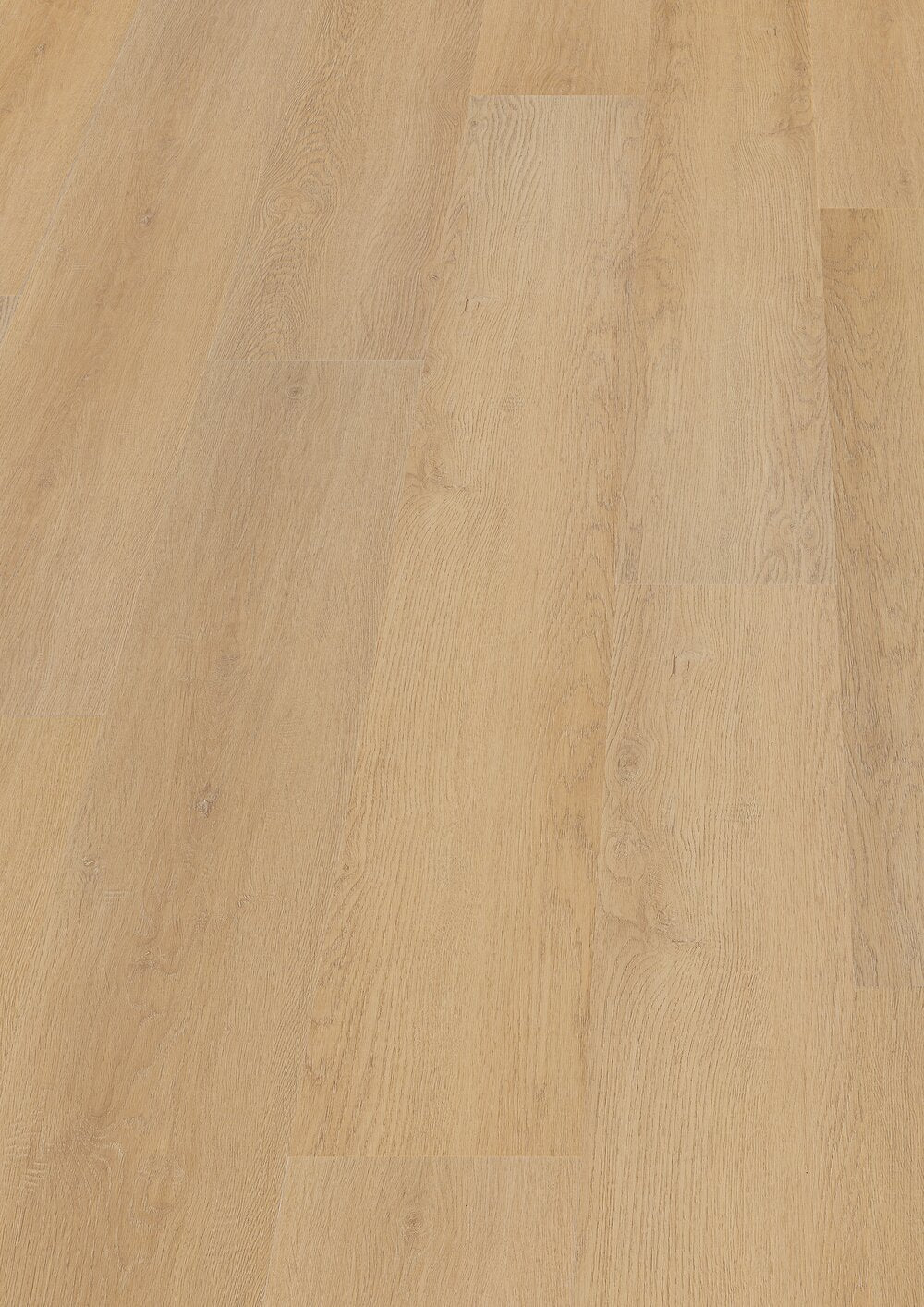 Hoomline Prestige Dryback plank Saint Tropez 5067