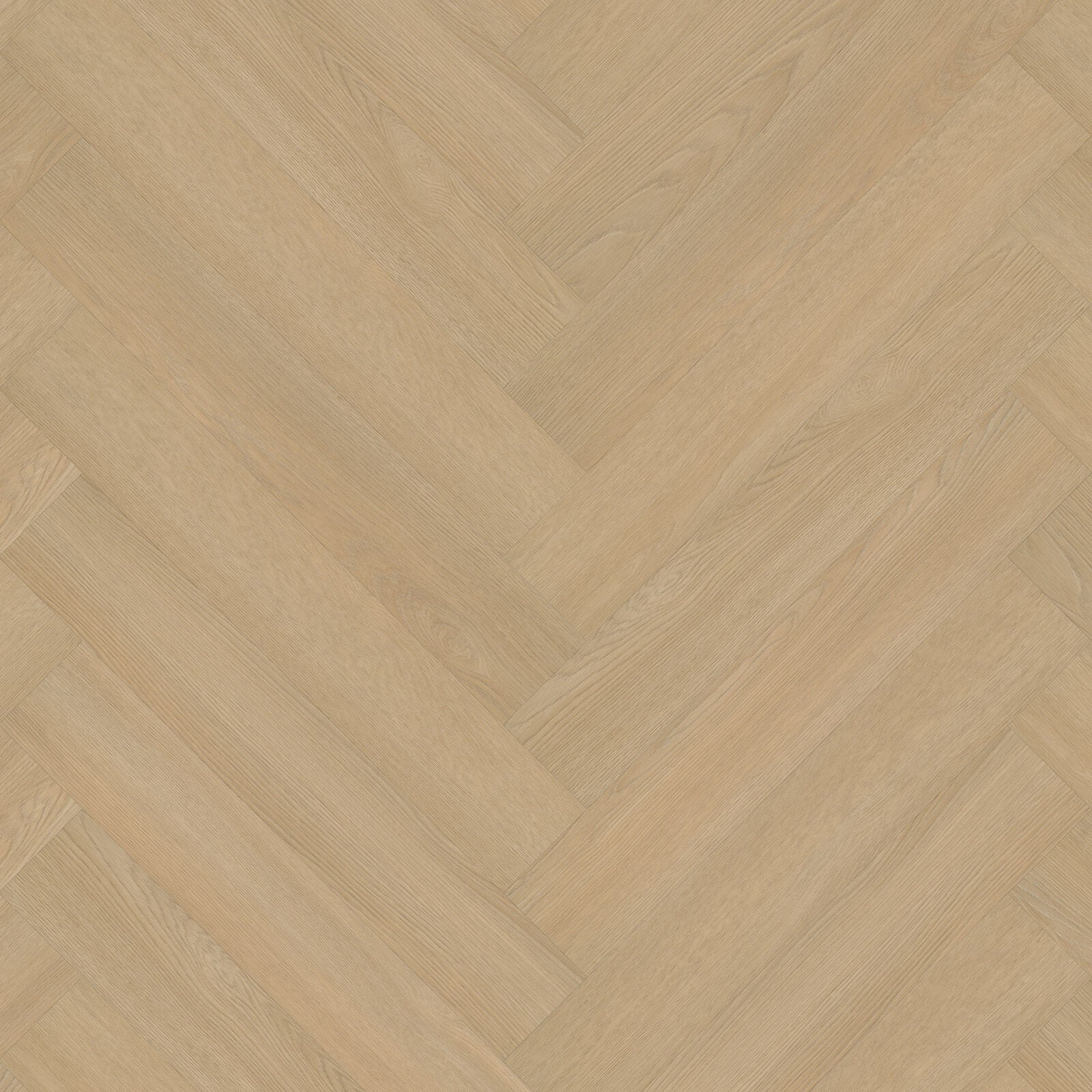 Walvisgraat 8520 - Lijm