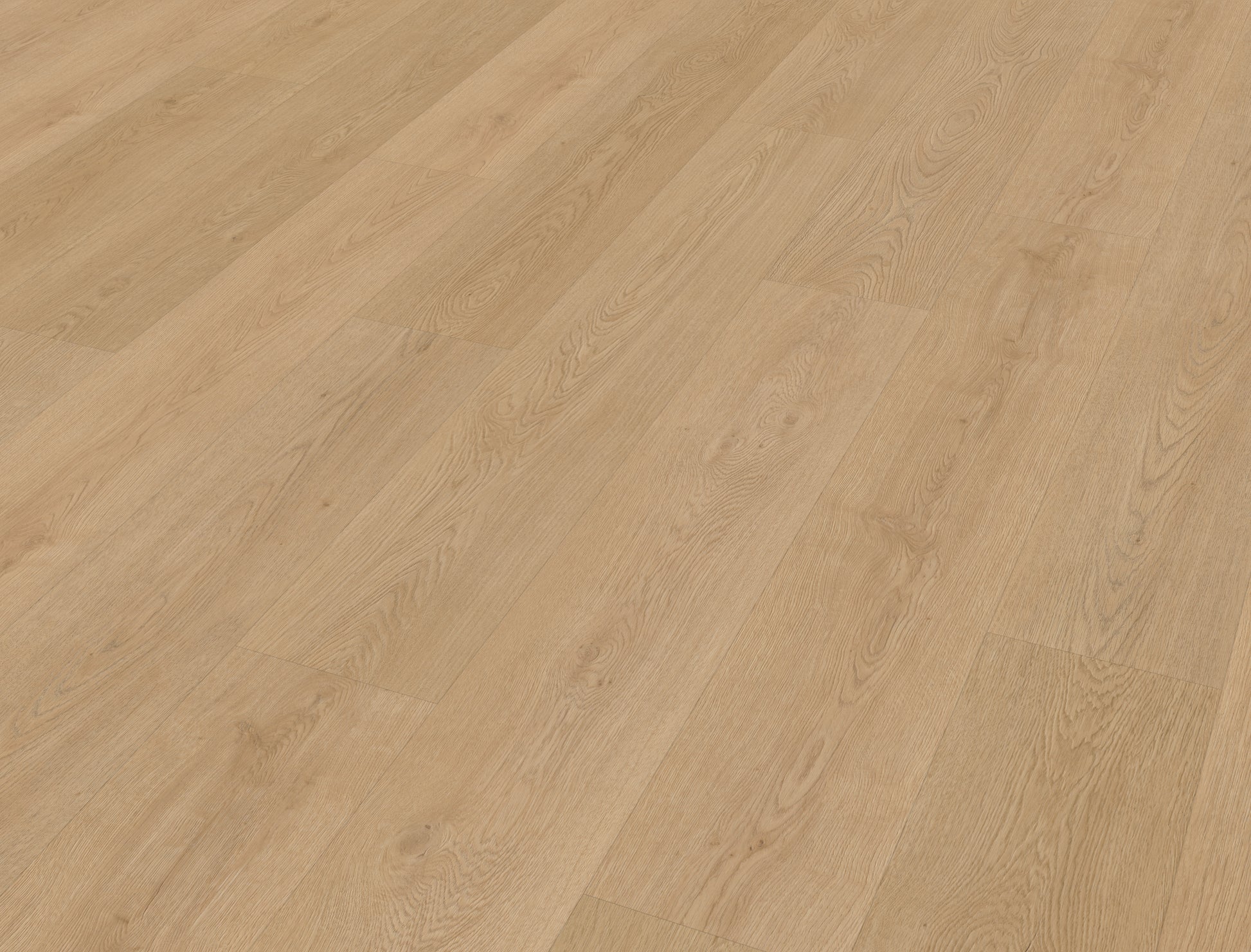 Belakos Monastro 930