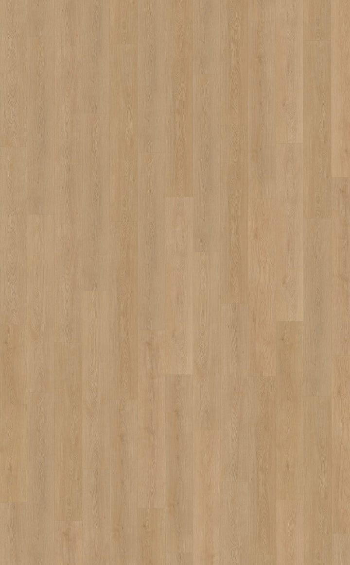 Belakos Monastro 930