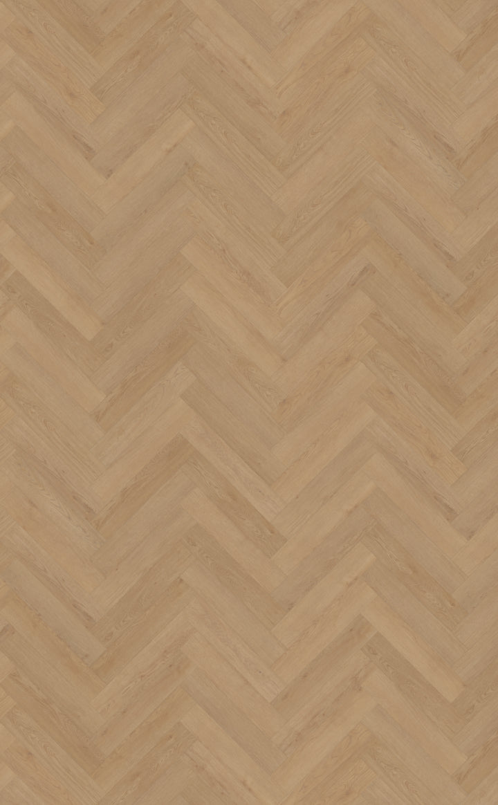 Belakos Monastro Visgraat XL 93