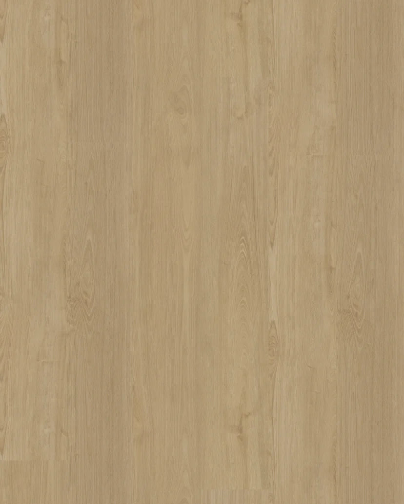 Belakos Portico 560 Rigid Click PVC