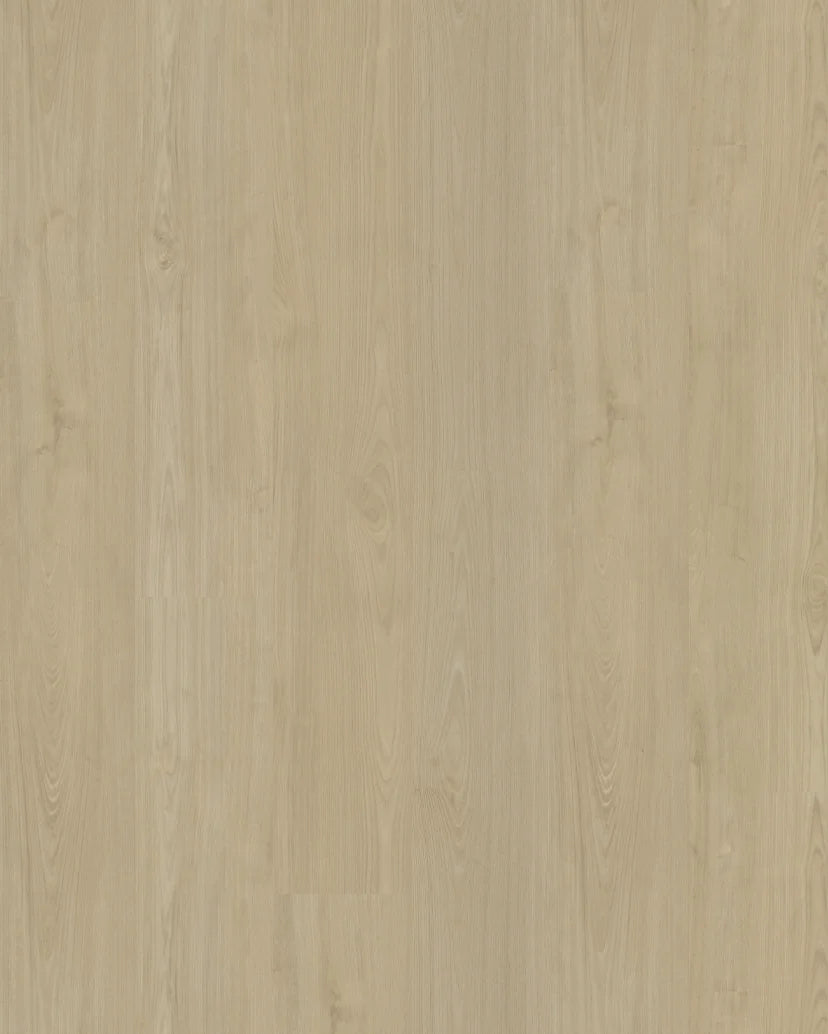 Belakos Portico 570 Rigid Click PVC