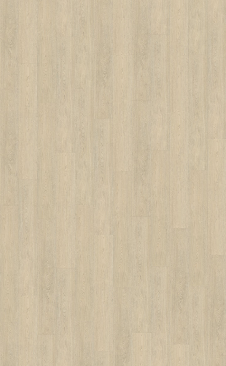 Belakos Terreno 620 Rigid Click PVC