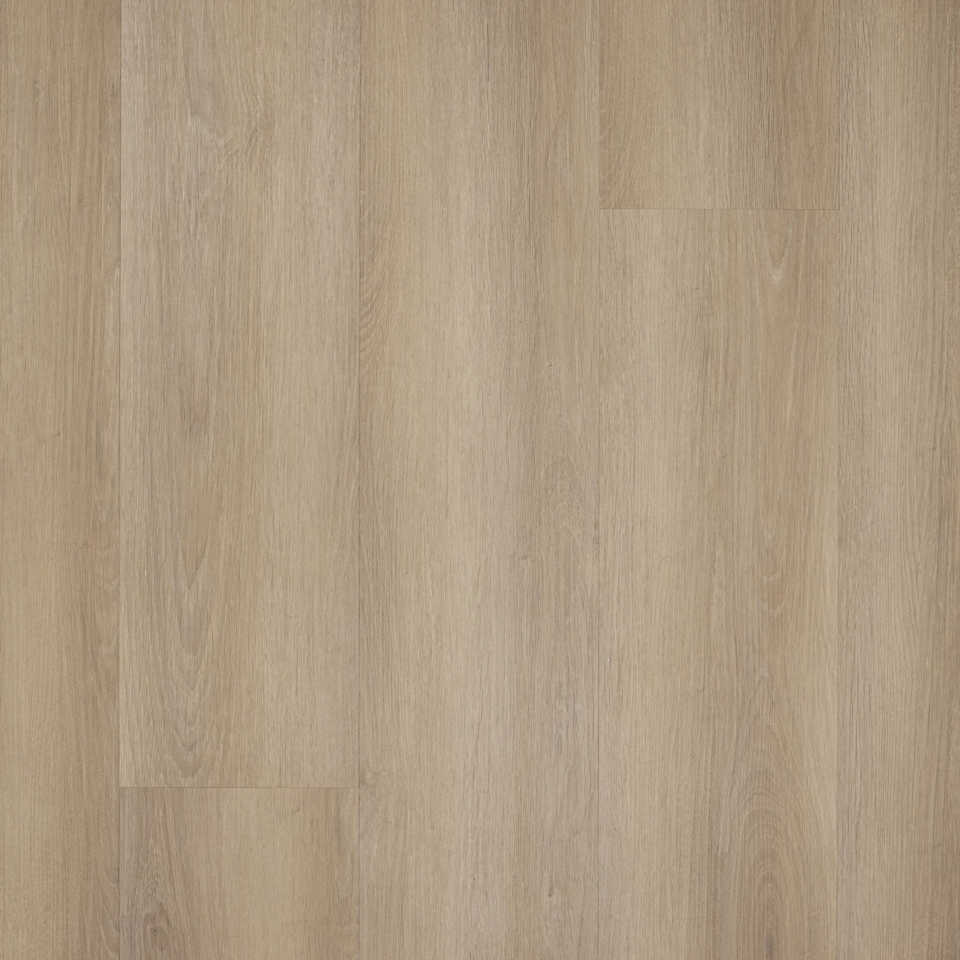 Castell Supreme 312 Spc 054 Honey Grey