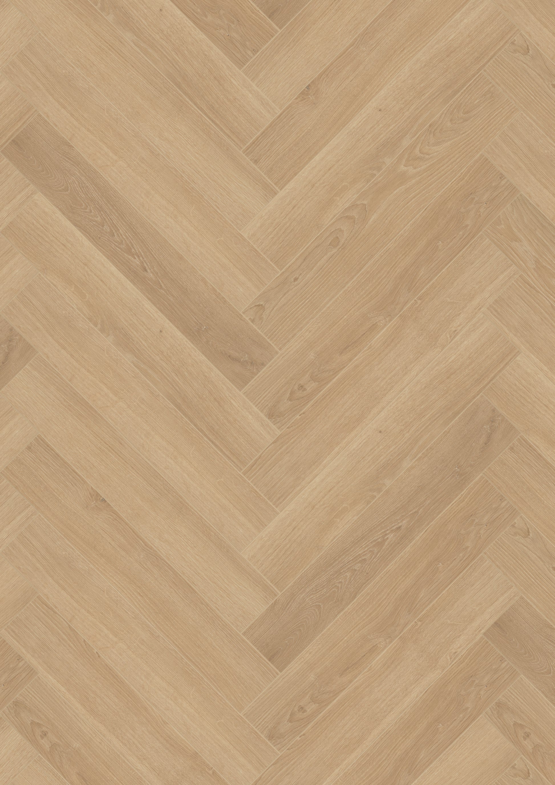 Herringbone V4 Zeebaars 2313 – Aquaprotect
