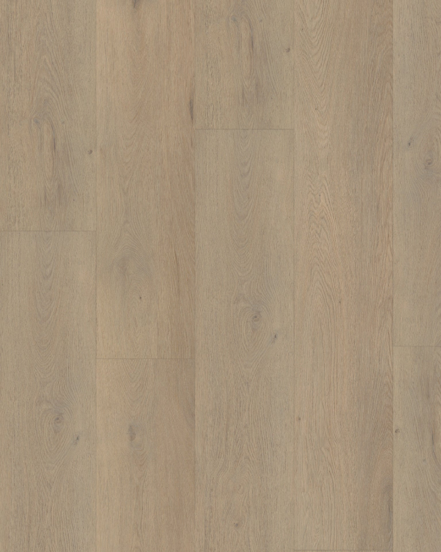 Belakos Attico 860 Rigid Click PVC