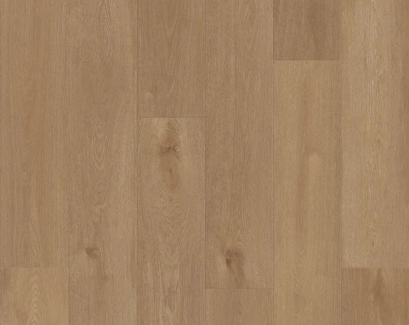 Castell Premium 871 061 Chatillon Brown 24503061