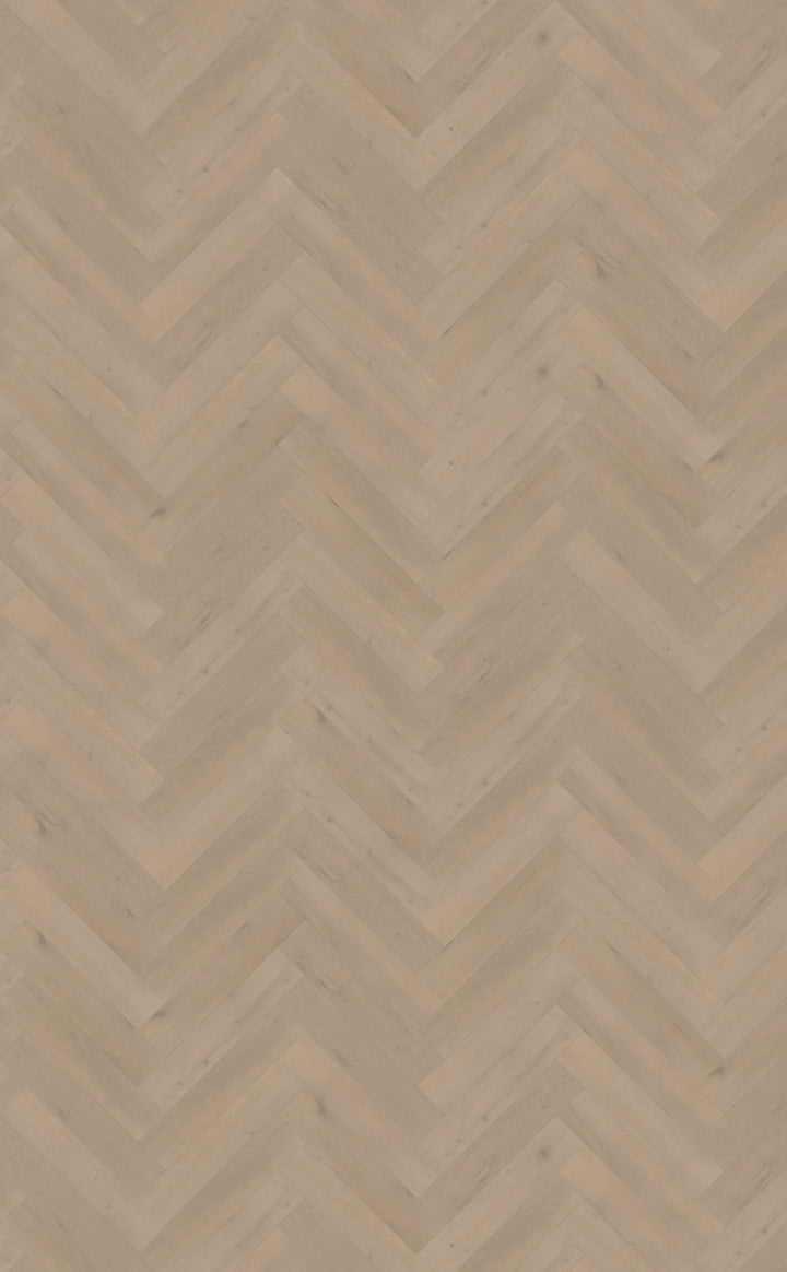 Belakos Attico Visgraat XL 83