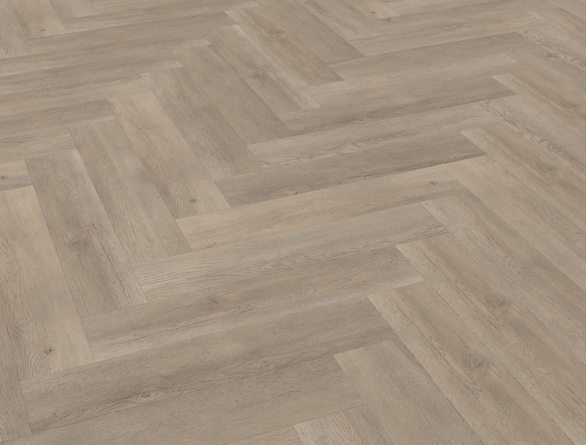 Belakos Palazzo Visgraat XL 70