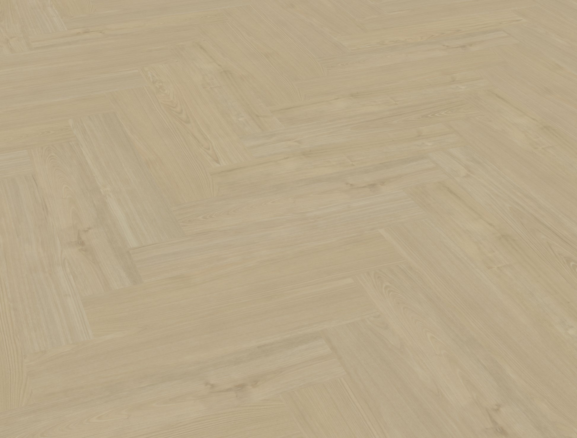 Belakos Portico Visgraat XL 57