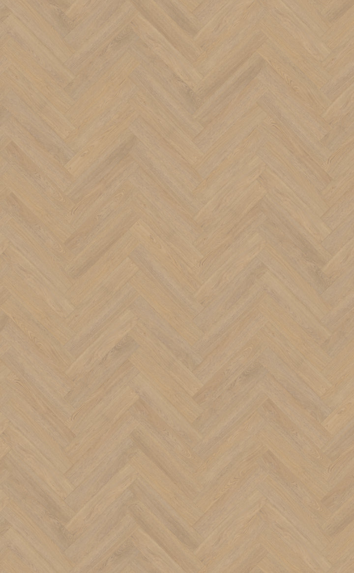 Belakos Terreno Visgraat XL 61