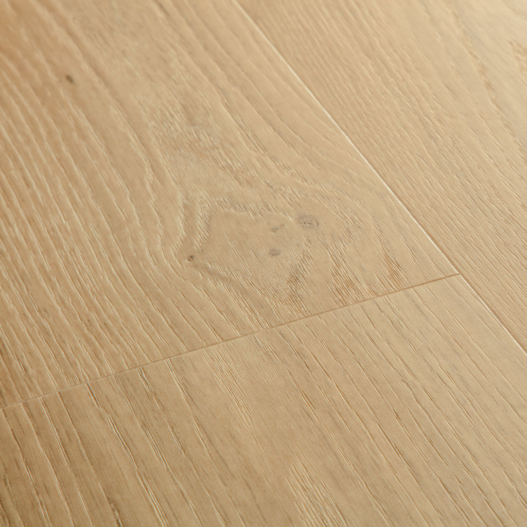 Kusteik beige Blos Base